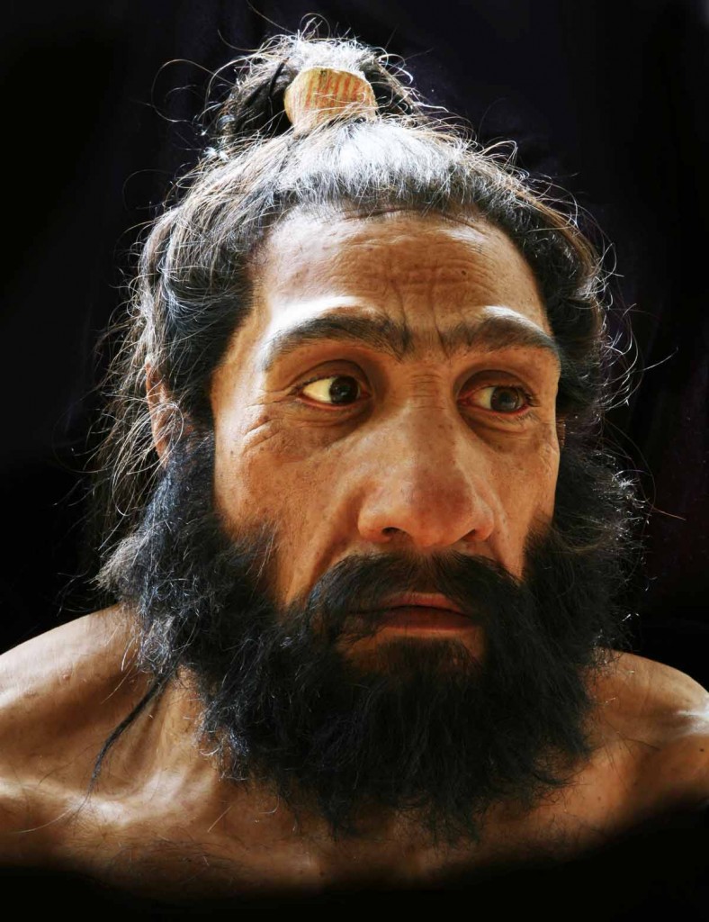 homo_neanderthalensis