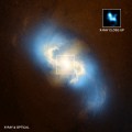 Evidence for a pair of supermassive black holes in a spiral galaxy has been found in data from NASA's Chandra X-ray Observatory. This main image is a composite of X-rays from Chandra (blue) and optical data from the Hubble Space Telescope (gold) of the spiral galaxy NGC 3393. Meanwhile, the inset box shows the central region of NGC 3993 as observed just by Chandra. The diffuse blue emission in the large image is from hot gas near the center of NGC 3393 and shows low energy X-rays. The inset shows only high energy X-rays, including emission from iron. This type of emission is a characteristic feature of growing black holes that are heavily obscured by dust and gas. Two separate peaks of X-ray emission (roughly at 11 o'clock and 4 o'clock) can clearly be seen in the inset box. These two sources are black holes that are actively growing, generating X-ray emission as gas falls towards the black holes and becomes hotter. The obscured regions around both black holes block the copious amounts of optical and ultraviolet light produced by infalling material. Credit: NASA Chandra
