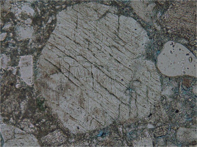 Picture1