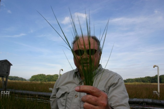 SERCMarsh_BertDrake