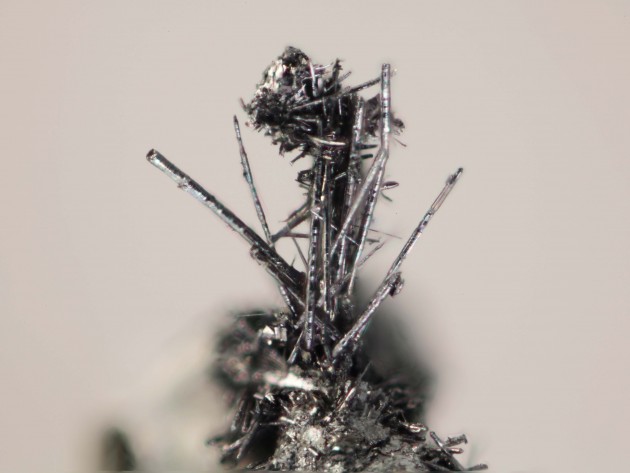 Under a microscope, clusters of molybdenum whiskers look very similar to graphite shavings. (Photo: John A Jaszczak)