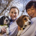 puppies