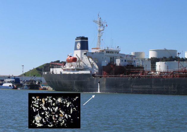 ballast