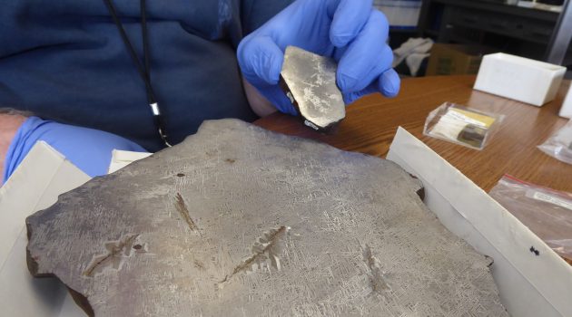 Smithsonian geologist Tim McCoy displays two pieces of an iron meteorite found in Minnesota and Wisconsin, which he recently found to be the source of two dozen Native American beads discovered in a 2,000-year-old burial site in Illinois. (Photo by Michelle Donahue)
